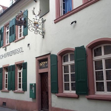 Weinstube Schwarzamsel Lägenhet Speyer Exteriör bild