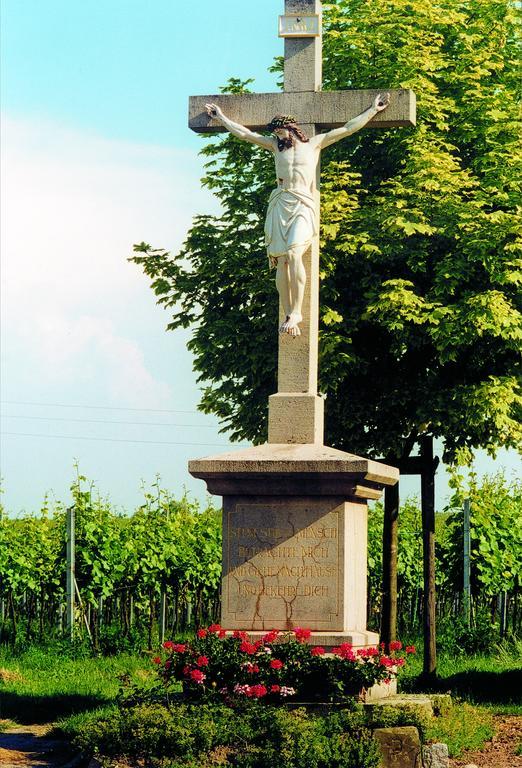 Weinstube Schwarzamsel Lägenhet Speyer Exteriör bild